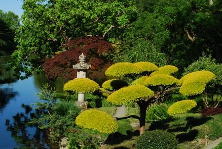 Le jardin japonais de Maulévrier
