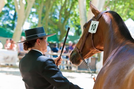 Le jumping national de Challans