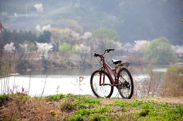 Prenez votre vélo cet été pour visiter la Vendée