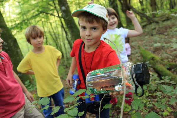 idees sorties vendee