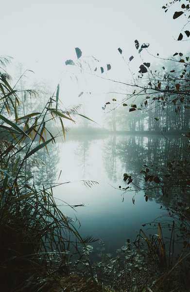 pêche lac de grand lieu